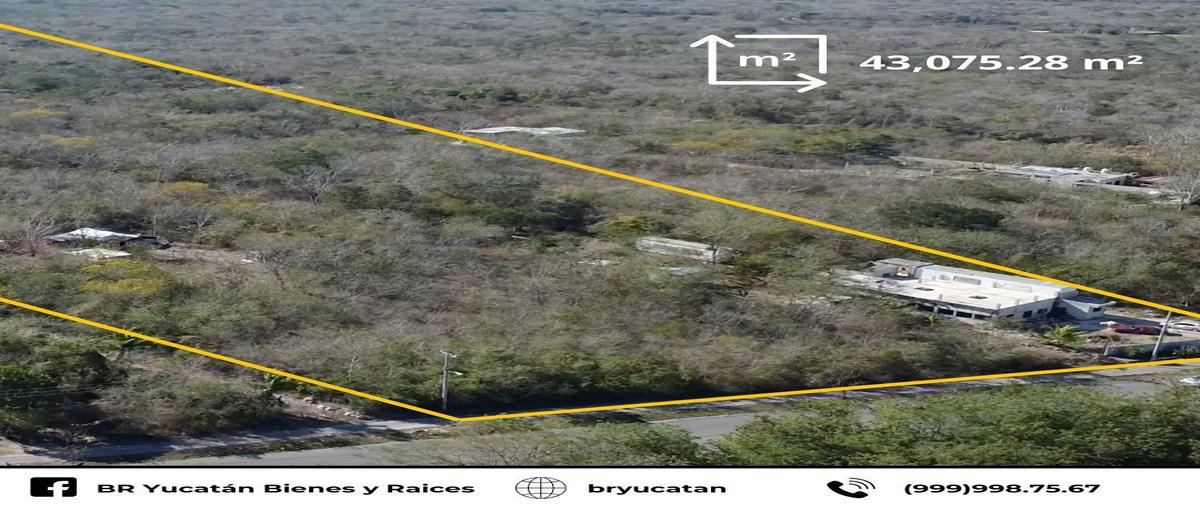 Foto de terreno habitacional en , tahdzibichén, mérida, yucatán, 29472949 foto 02 Foto de terreno habitacional en venta en , tahdzibichén, mérida, yucatán, 29472949 No. 02