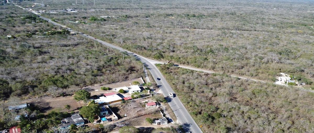 Foto de terreno habitacional en , tahdzibichén, mérida, yucatán, 29856231 foto 05 Foto de terreno habitacional en venta en , tahdzibichén, mérida, yucatán, 29856231 No. 05