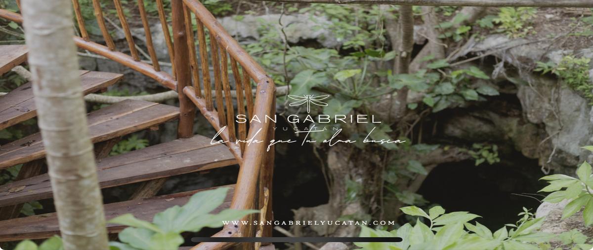 Foto de terreno habitacional en venta en  , tahdzibichen, yaxcabá, yucatán, 0 No. 05