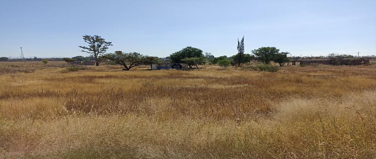 Foto de terreno habitacional en venta en tajo de santa ana , san juan de abajo, león, guanajuato, 0 No. 03