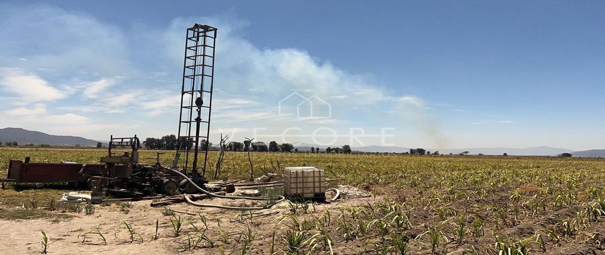 Foto de terreno habitacional en venta en  , tala centro, tala, jalisco, 25308986 No. 03