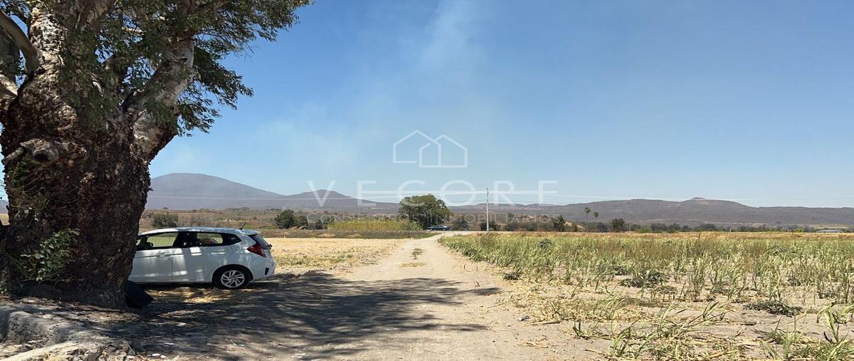 Foto de terreno habitacional en venta en  , tala centro, tala, jalisco, 25308986 No. 05