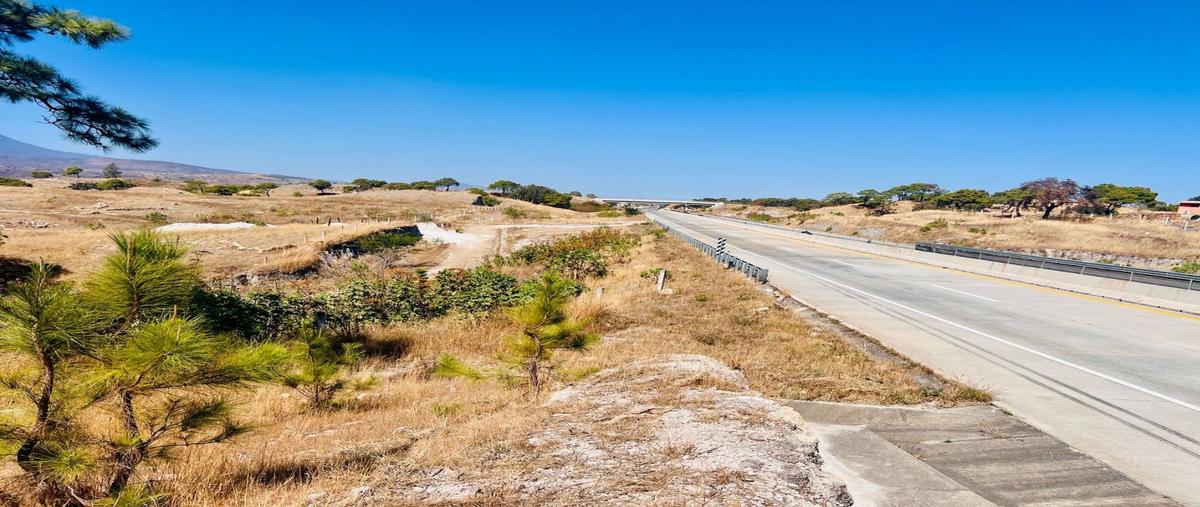 Foto de terreno habitacional en venta en  , tala centro, tala, jalisco, 0 No. 03
