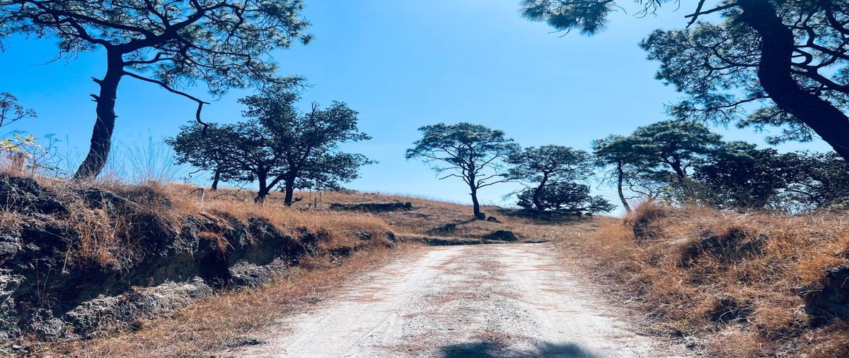 Foto de terreno habitacional en venta en  , tala centro, tala, jalisco, 0 No. 04