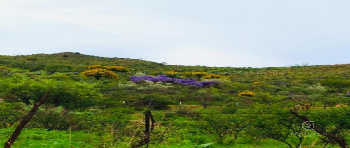 Foto de terreno habitacional en , talamantes de abajo, allende, chihuahua, 0 foto 05 Foto de terreno habitacional en venta en , talamantes de abajo, allende, chihuahua, 0 No. 05