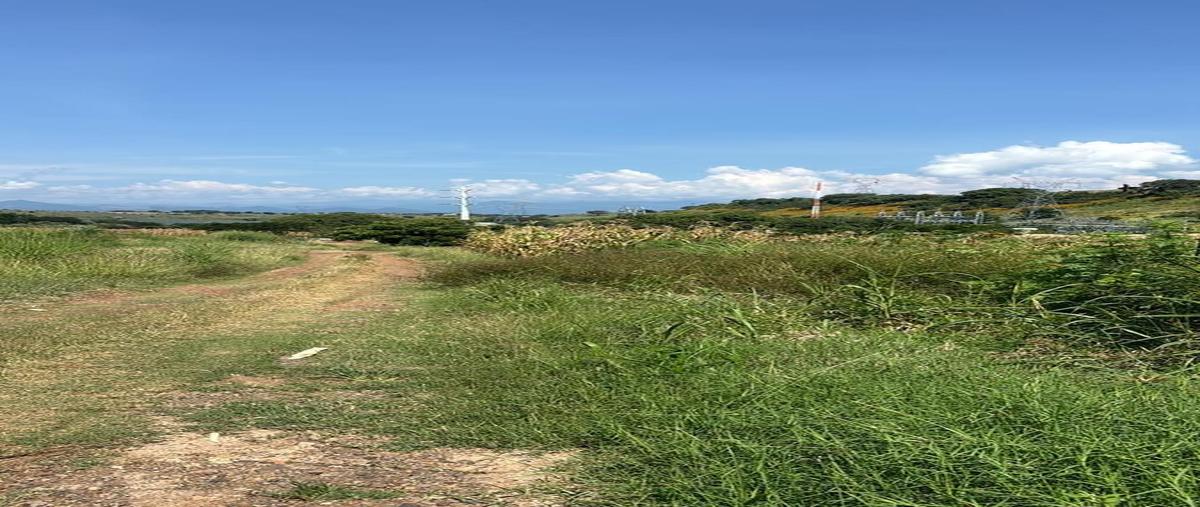 Foto de terreno comercial en talixtaca , la mula, tequila, jalisco, 0 foto 02 Foto de terreno comercial en venta en talixtaca , la mula, tequila, jalisco, 0 No. 02