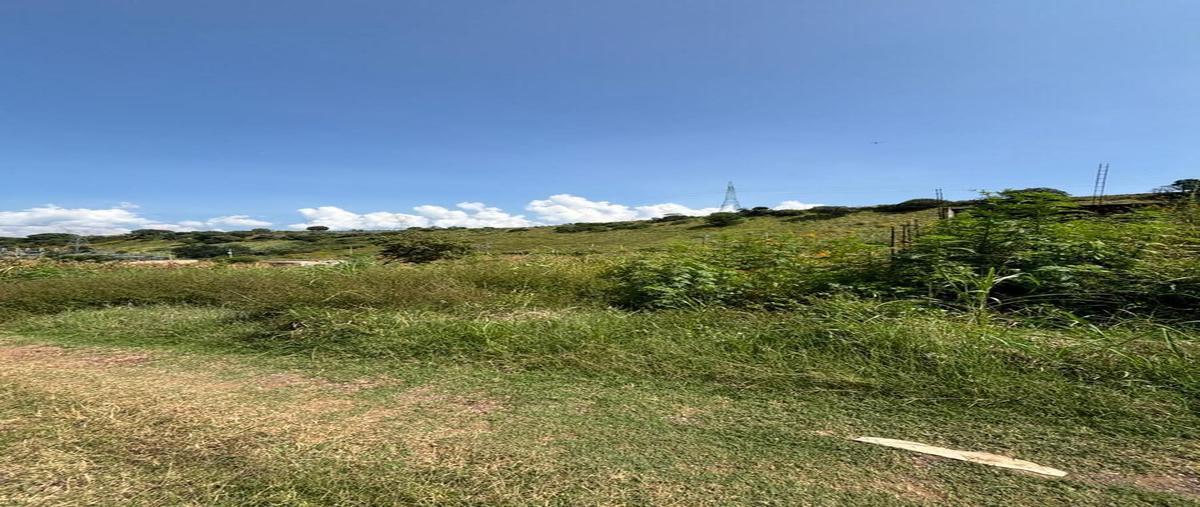 Foto de terreno comercial en talixtaca , la mula, tequila, jalisco, 0 foto 03 Foto de terreno comercial en venta en talixtaca , la mula, tequila, jalisco, 0 No. 03