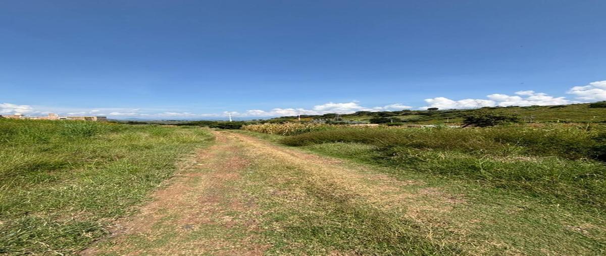 Foto de terreno comercial en talixtaca , la mula, tequila, jalisco, 0 foto 04 Foto de terreno comercial en venta en talixtaca , la mula, tequila, jalisco, 0 No. 04