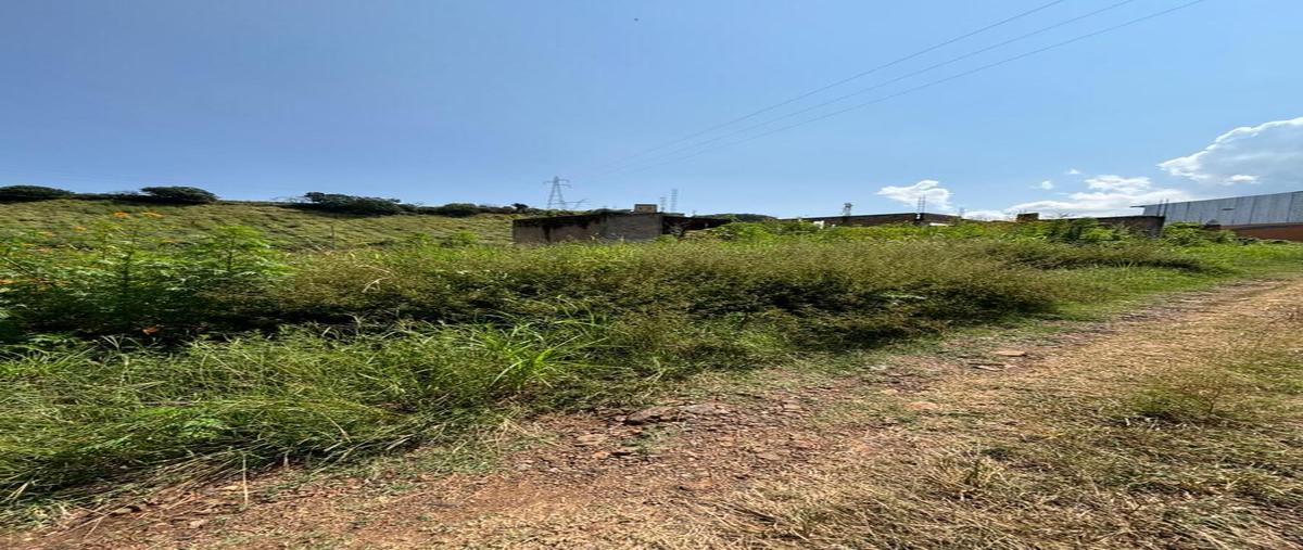 Foto de terreno comercial en talixtaca , la mula, tequila, jalisco, 0 foto 05 Foto de terreno comercial en venta en talixtaca , la mula, tequila, jalisco, 0 No. 05