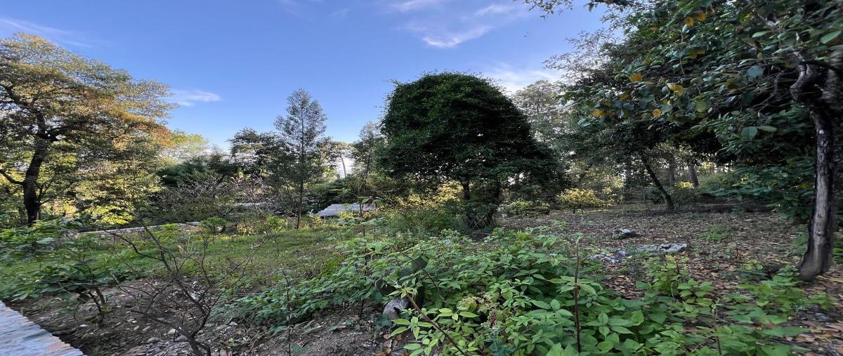 Foto de terreno industrial en venta en talo , cerro gordo, valle de bravo, méxico, 29904822 No. 05
