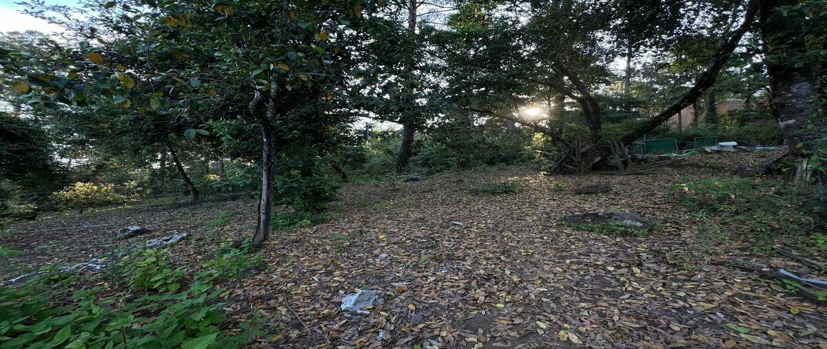 Foto de terreno industrial en venta en talo , cerro gordo, valle de bravo, méxico, 29904822 No. 06