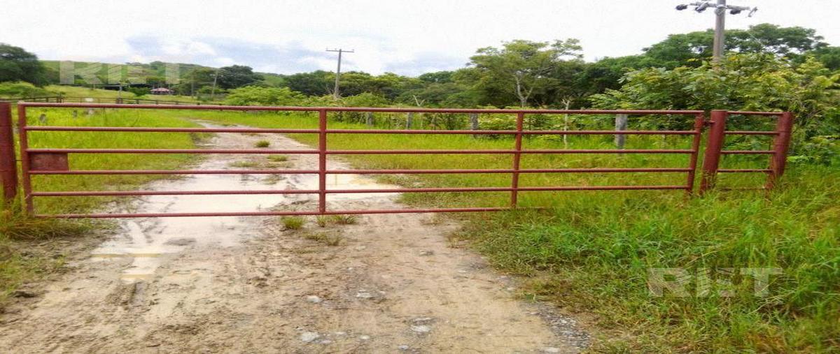 Foto de rancho en venta en  , tamalin, tamalín, veracruz de ignacio de la llave, 0 No. 03