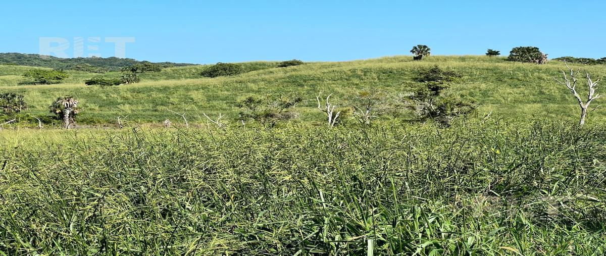Foto de rancho en venta en  , tamalin, tamalín, veracruz de ignacio de la llave, 0 No. 04