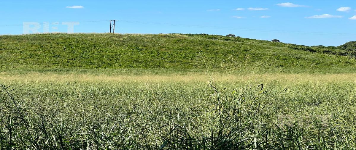 Foto de rancho en venta en  , tamalin, tamalín, veracruz de ignacio de la llave, 0 No. 05