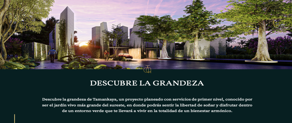 Foto de terreno habitacional en venta en  , tamanché, mérida, yucatán, 20899167 No. 03