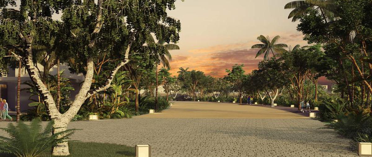 Foto de terreno habitacional en venta en  , tamanché, mérida, yucatán, 0 No. 05
