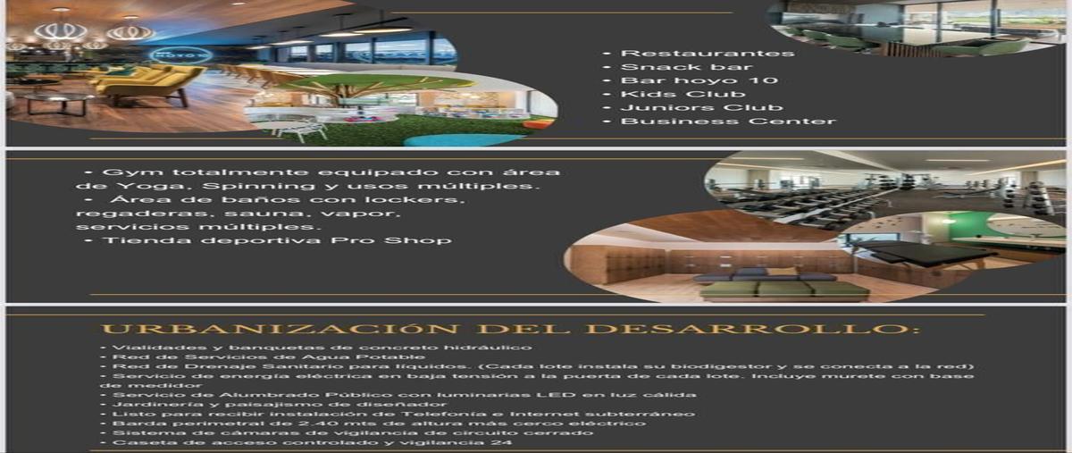 Foto de terreno habitacional en venta en  , tamanché, mérida, yucatán, 26325429 No. 03