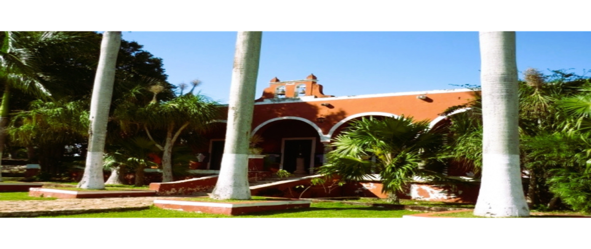 Foto de terreno habitacional en venta en  , tamanché, mérida, yucatán, 0 No. 03