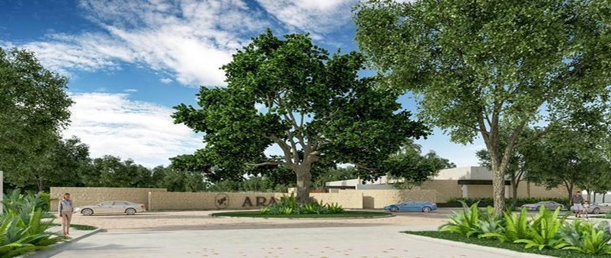 Foto de terreno habitacional en venta en  , tamanché, mérida, yucatán, 27307687 No. 05