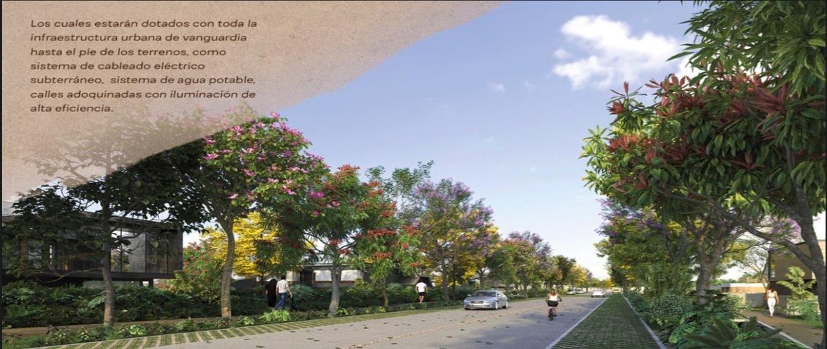 Foto de terreno habitacional en venta en  , tamanché, mérida, yucatán, 27329386 No. 03