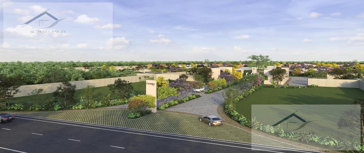 Foto de terreno habitacional en venta en  , tamanché, mérida, yucatán, 27475298 No. 05