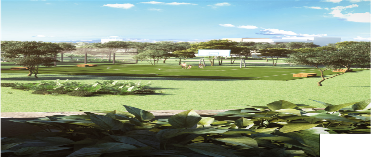 Foto de terreno habitacional en venta en  , tamanché, mérida, yucatán, 27499808 No. 03