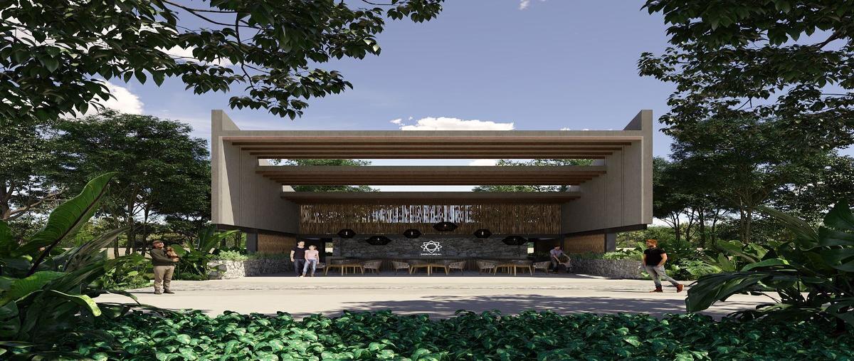 Foto de terreno habitacional en venta en -- , tamanché, mérida, yucatán, 27668167 No. 05