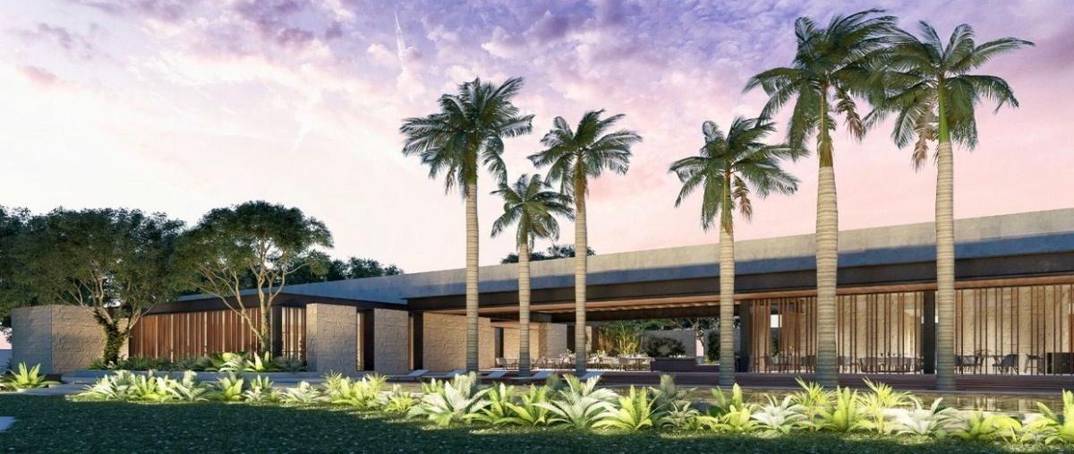 Foto de terreno habitacional en venta en  , tamanché, mérida, yucatán, 27685665 No. 03