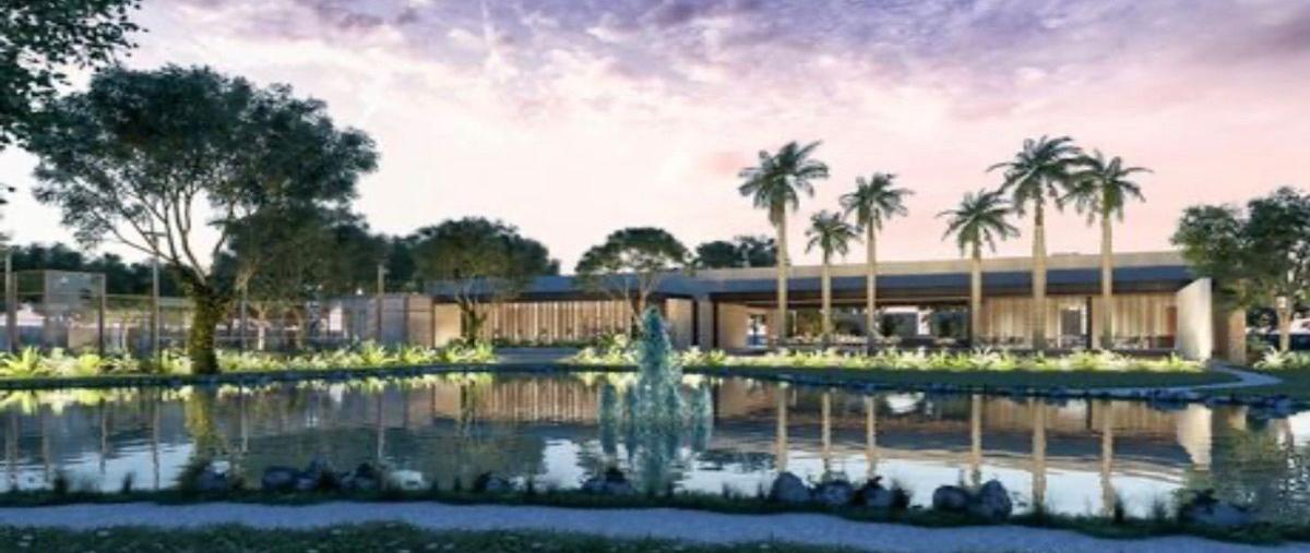 Foto de terreno habitacional en venta en  , tamanché, mérida, yucatán, 27685665 No. 05