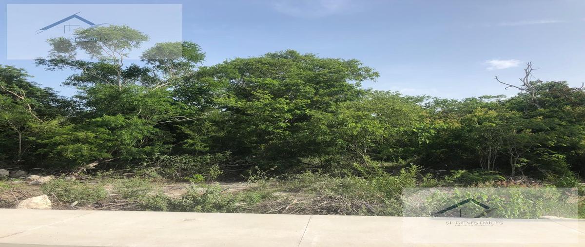 Foto de terreno habitacional en venta en  , tamanché, mérida, yucatán, 28006468 No. 03