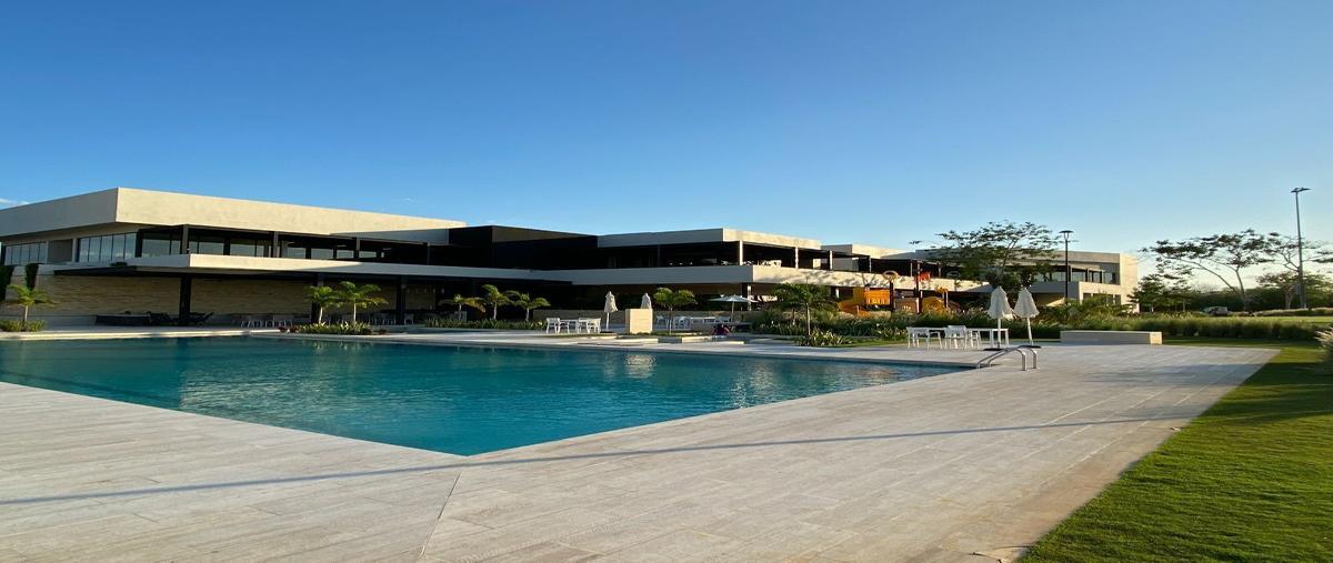 Foto de terreno habitacional en venta en  , tamanché, mérida, yucatán, 28011642 No. 05