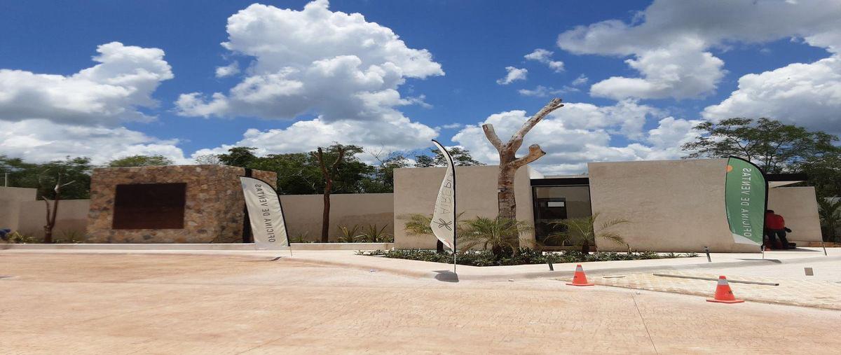Foto de terreno habitacional en venta en  , tamanché, mérida, yucatán, 0 No. 03