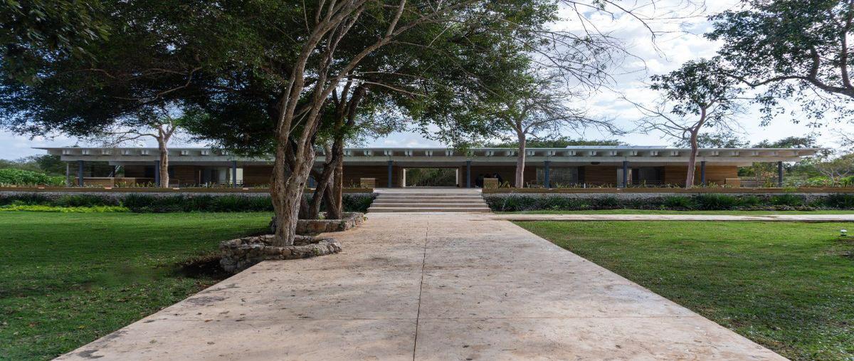 Foto de terreno habitacional en venta en  , tamanché, mérida, yucatán, 0 No. 05