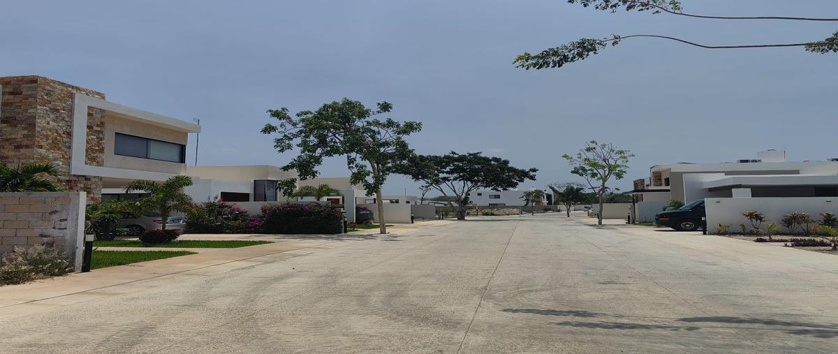 Foto de terreno habitacional en venta en  , tamanché, mérida, yucatán, 28241333 No. 03