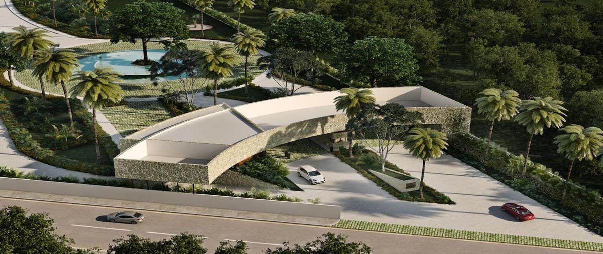 Foto de terreno habitacional en venta en  , tamanché, mérida, yucatán, 0 No. 04