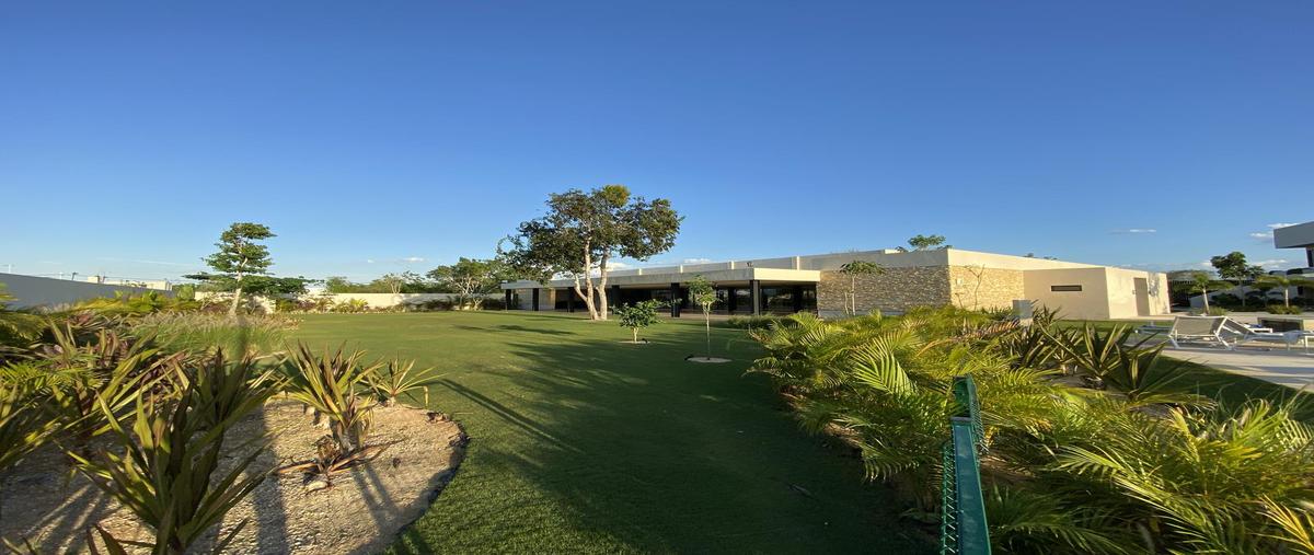 Foto de terreno habitacional en venta en  , tamanché, mérida, yucatán, 28491828 No. 04