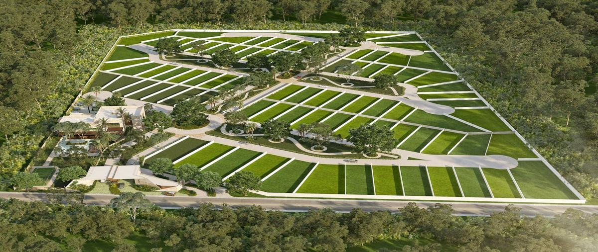 Foto de terreno habitacional en venta en  , tamanché, mérida, yucatán, 28891126 No. 03