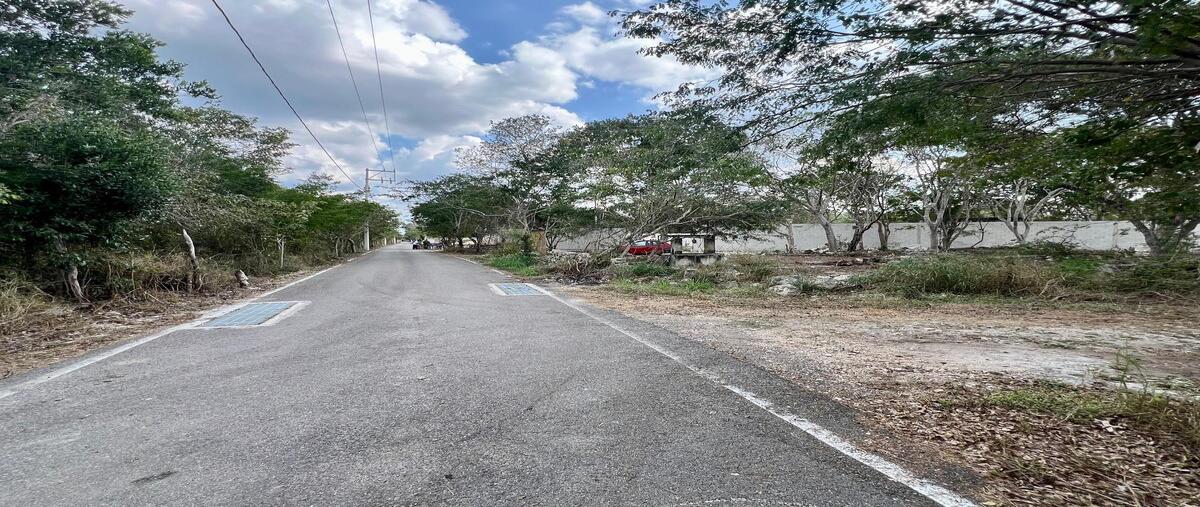 Foto de terreno habitacional en , tamanché, mérida, yucatán, 29096025 foto 03 Foto de terreno habitacional en venta en , tamanché, mérida, yucatán, 29096025 No. 03