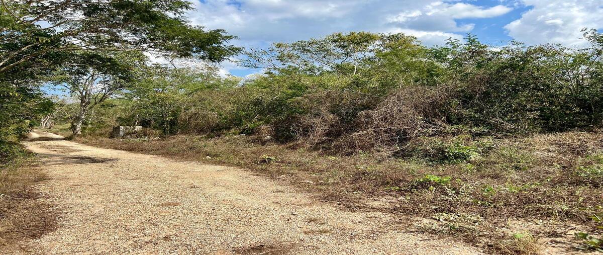Foto de terreno habitacional en , tamanché, mérida, yucatán, 29096025 foto 04 Foto de terreno habitacional en venta en , tamanché, mérida, yucatán, 29096025 No. 04