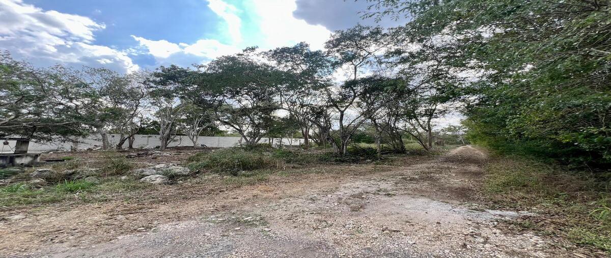 Foto de terreno habitacional en , tamanché, mérida, yucatán, 29096025 foto 05 Foto de terreno habitacional en venta en , tamanché, mérida, yucatán, 29096025 No. 05