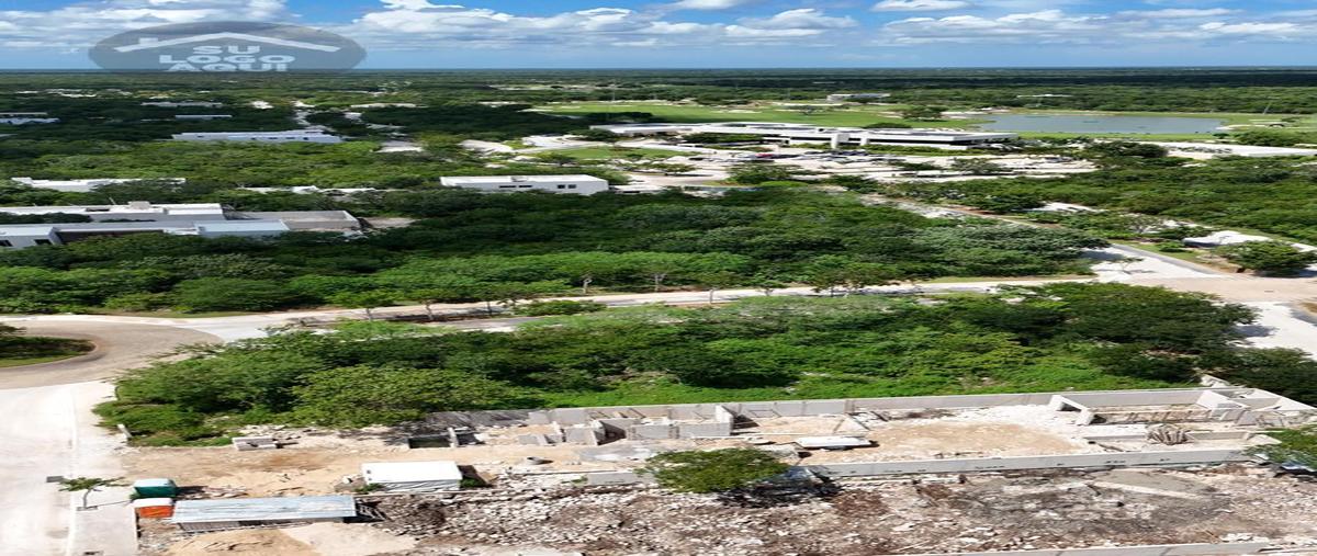 Foto de terreno habitacional en venta en  , tamanché, mérida, yucatán, 29335785 No. 03