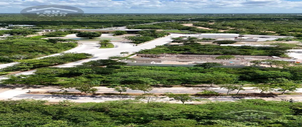 Foto de terreno habitacional en venta en  , tamanché, mérida, yucatán, 29335785 No. 04