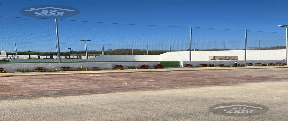 Foto de terreno habitacional en venta en  , tamanché, mérida, yucatán, 29335788 No. 03