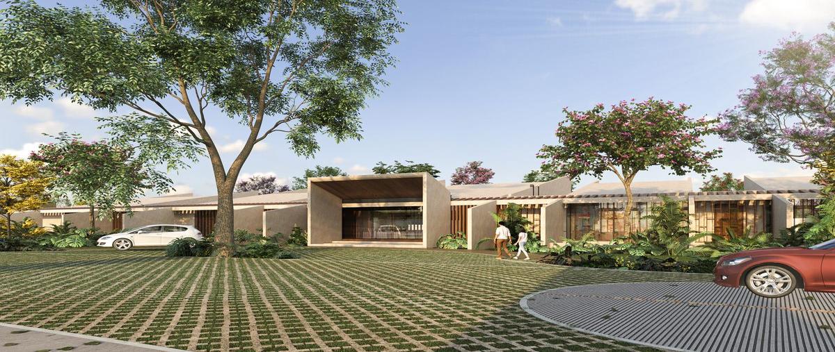 Foto de terreno habitacional en venta en  , tamanché, mérida, yucatán, 0 No. 03