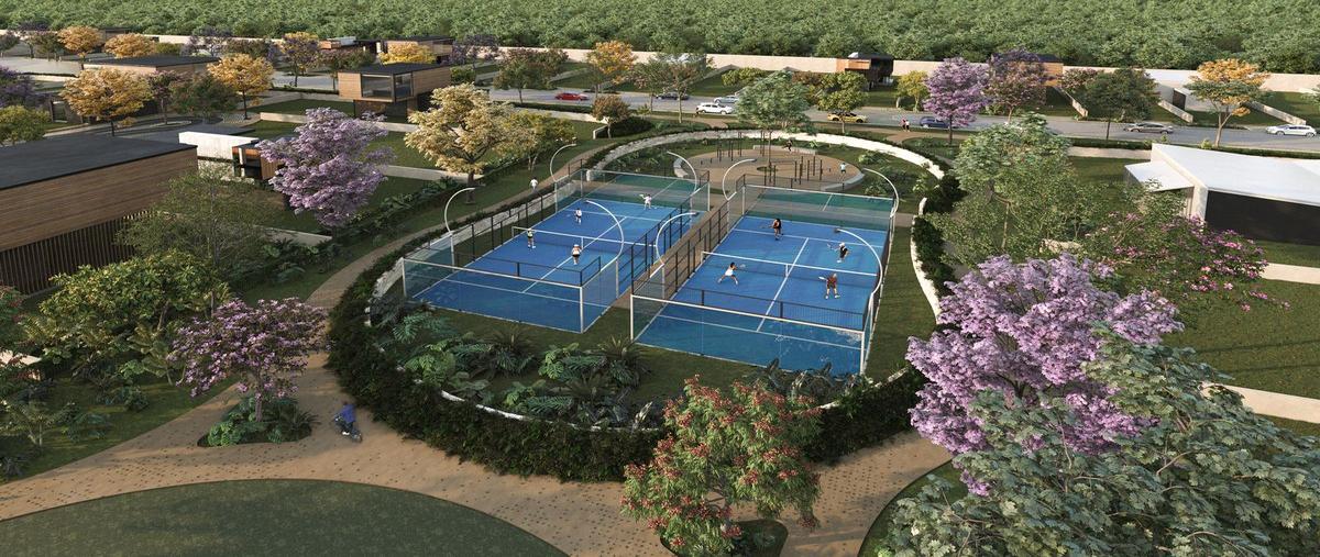 Foto de terreno habitacional en venta en  , tamanché, mérida, yucatán, 0 No. 04