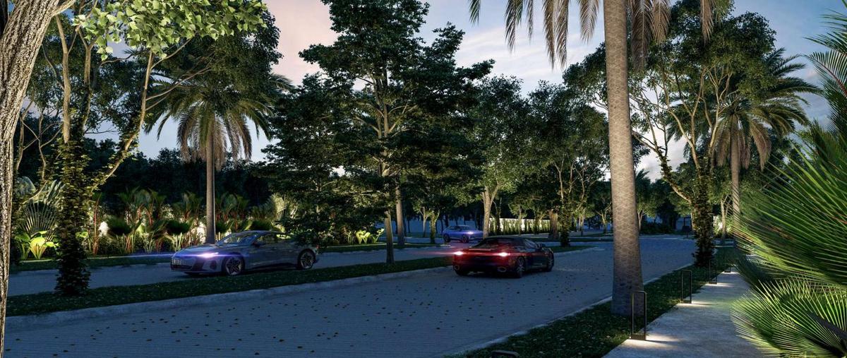 Foto de terreno habitacional en venta en  , tamanché, mérida, yucatán, 0 No. 03