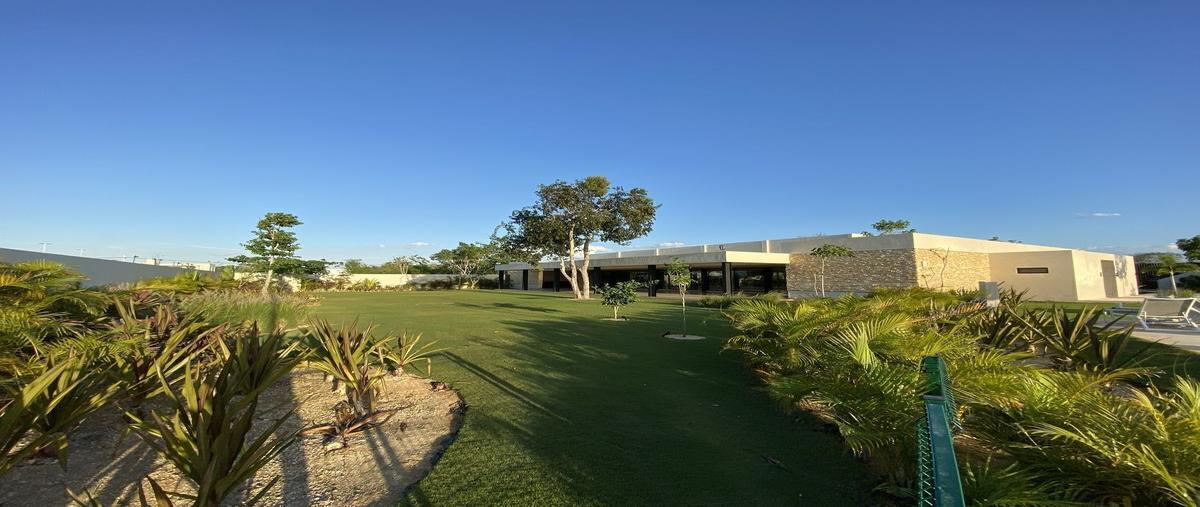 Foto de terreno habitacional en venta en  , tamanché, mérida, yucatán, 0 No. 04