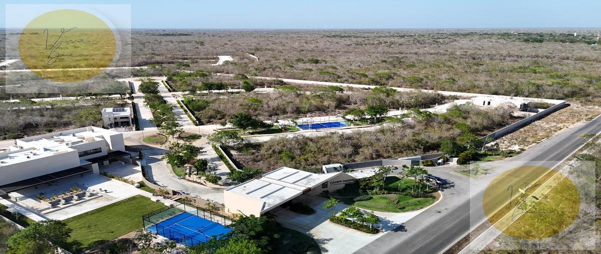 Foto de terreno habitacional en venta en  , tamanché, mérida, yucatán, 29840055 No. 05