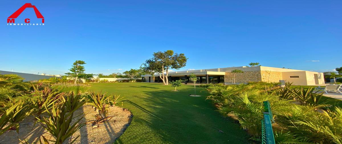 Foto de terreno habitacional en venta en  , tamanché, mérida, yucatán, 0 No. 05