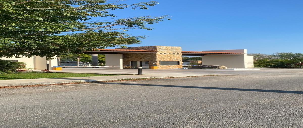 Foto de terreno habitacional en venta en  , tamanché, mérida, yucatán, 0 No. 03